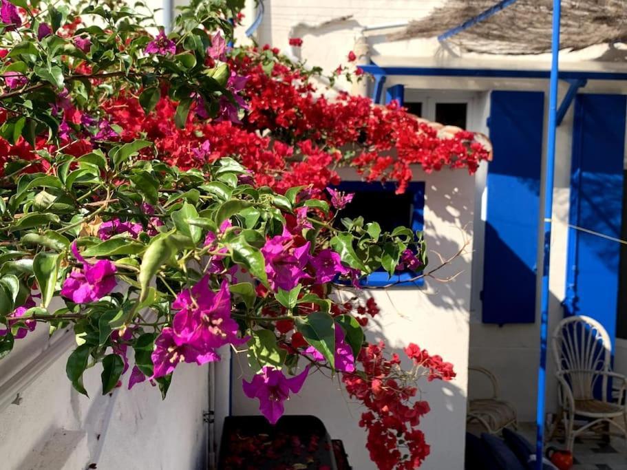Villa En Bord De Mer A Malmousque Μασσαλία Εξωτερικό φωτογραφία
