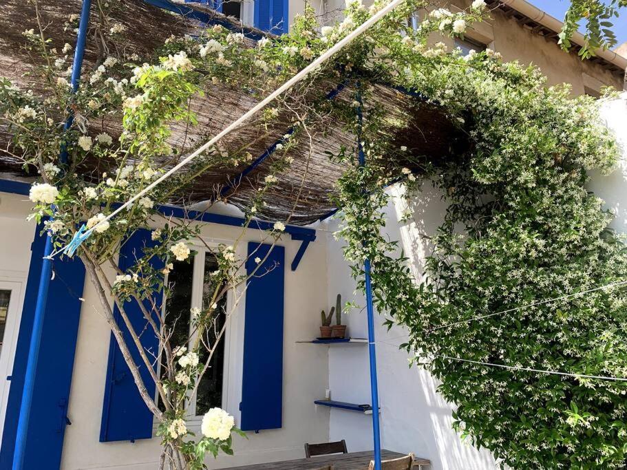 Villa En Bord De Mer A Malmousque Μασσαλία Εξωτερικό φωτογραφία